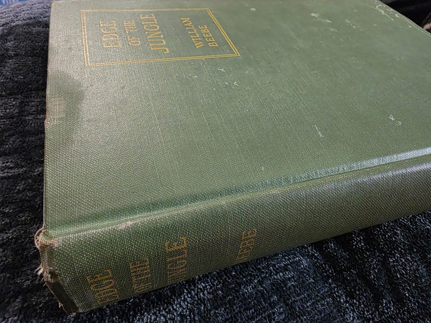 1921 Antique Exploration Story "Edge of the Jungle"