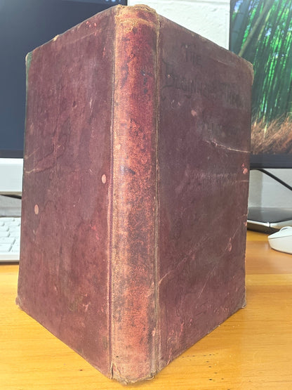 The Beginner's American History by D. H. Montgomery