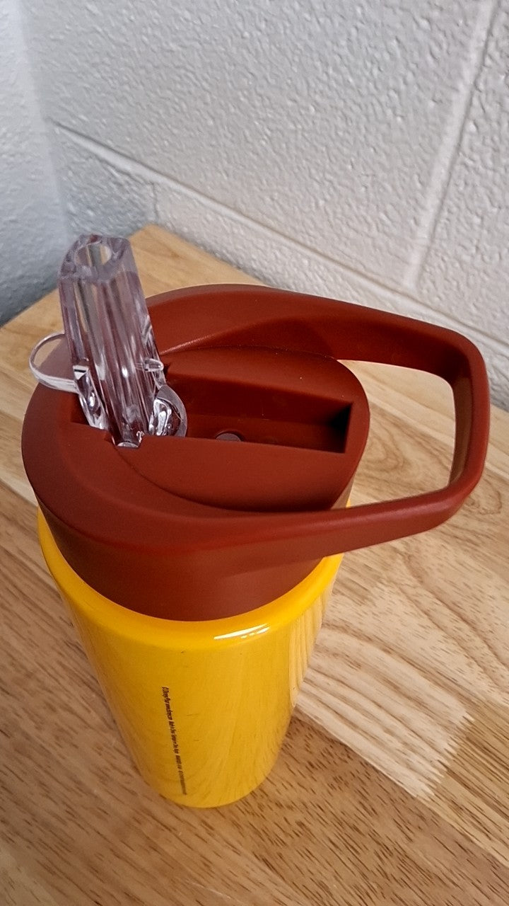 Toy Story's Woody Water Bottle