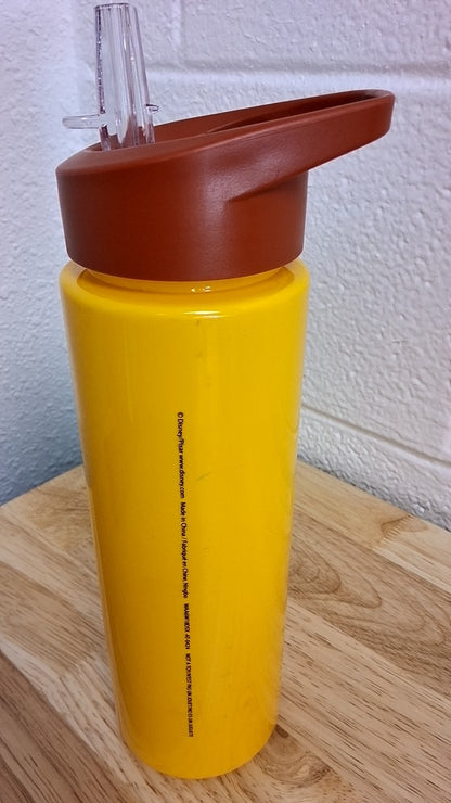 Toy Story's Woody Water Bottle
