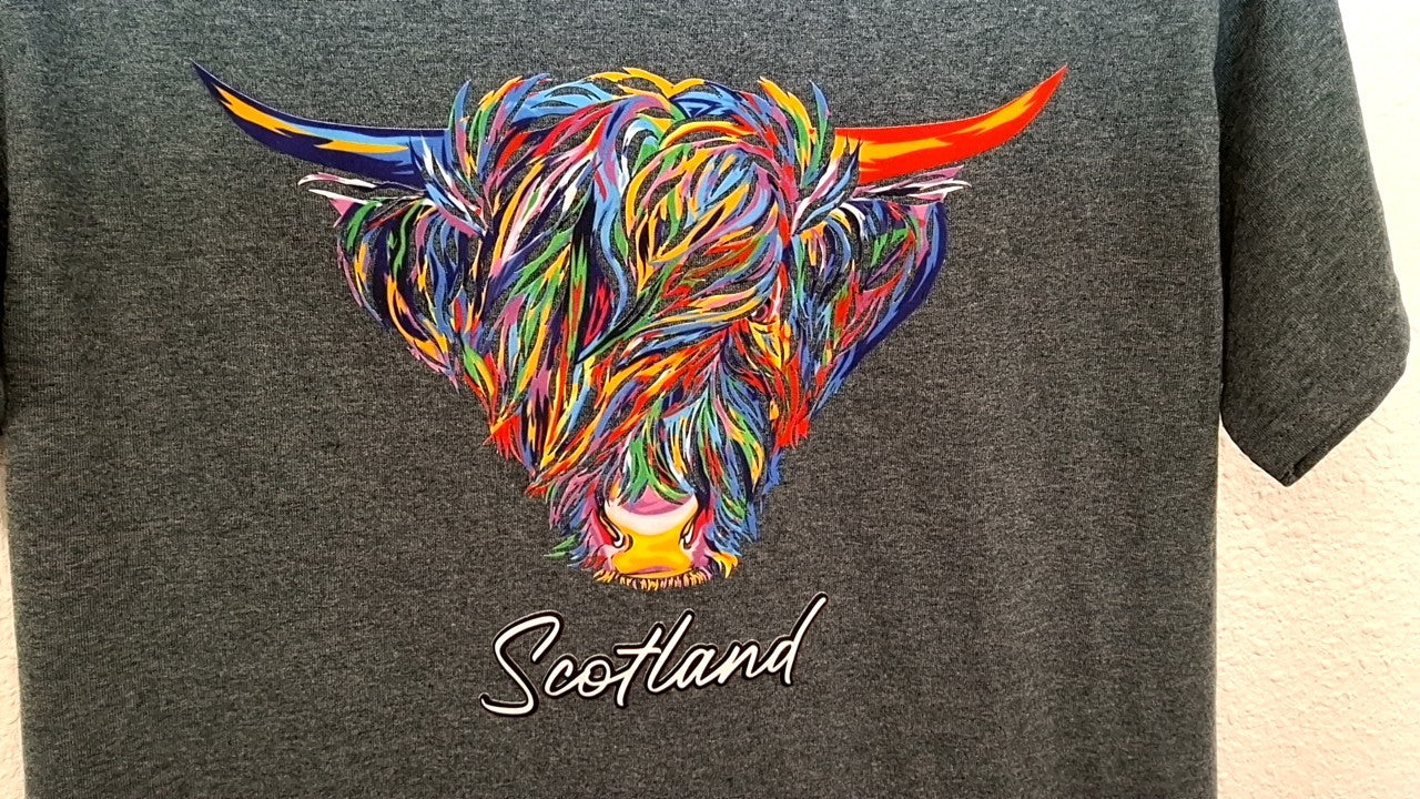 Scotland T-Shirt M Gray