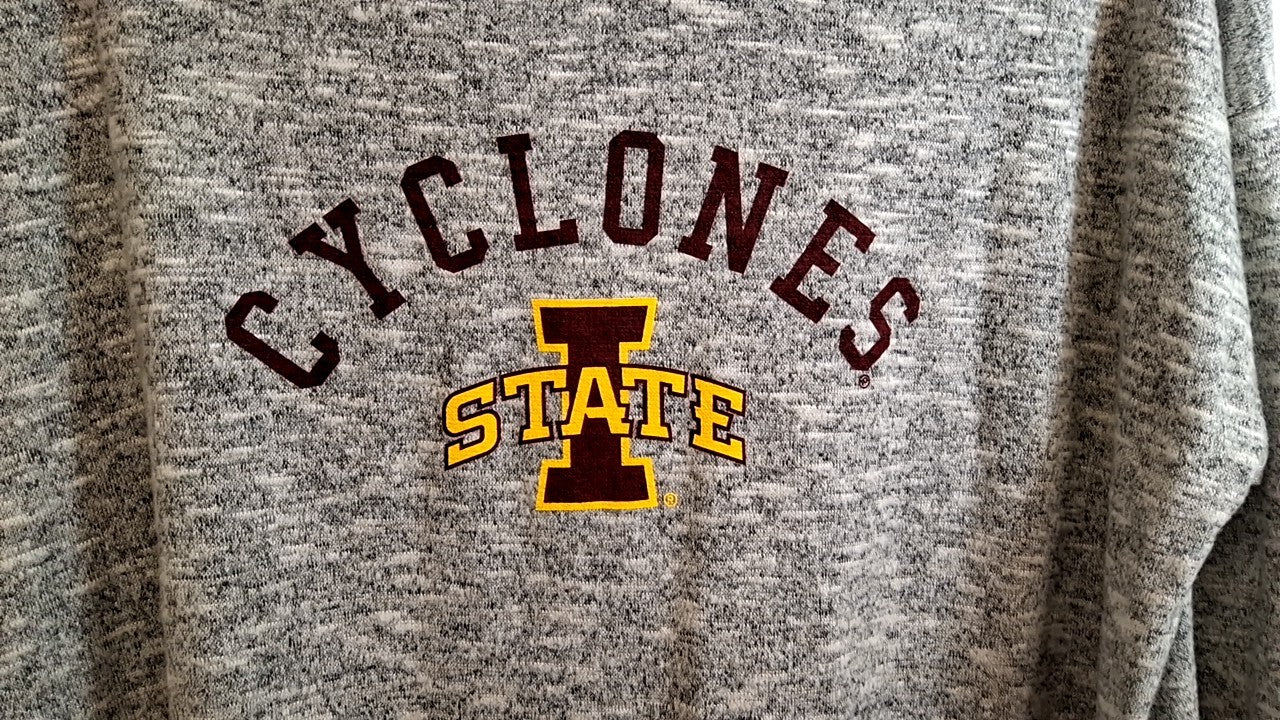 chicka-d Cyclones Hoodie XL Gray