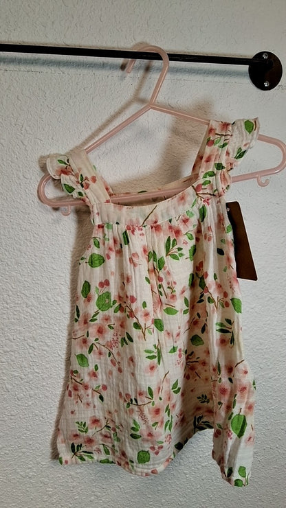 Angel Dear Dress 6-12M Cream with pink, green, and black floral pattern