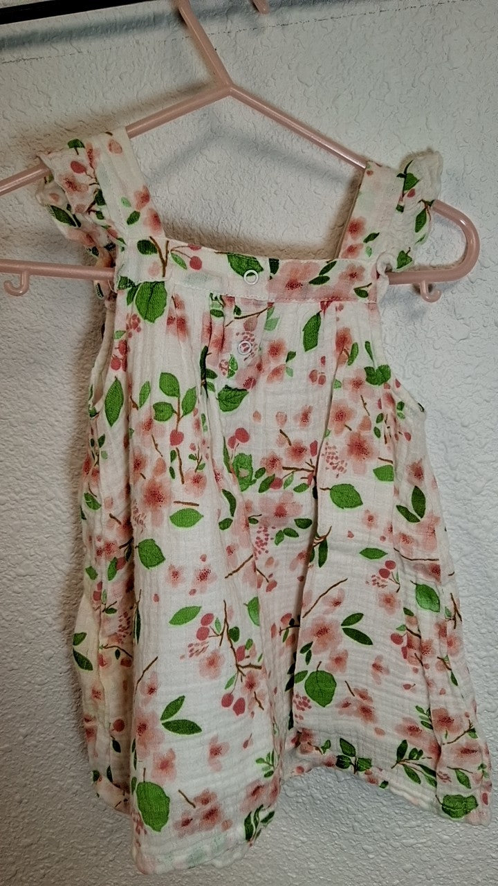Angel Dear Dress 6-12M Cream with pink, green, and black floral pattern