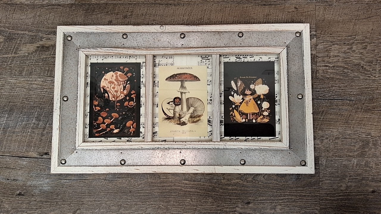 Shroom Dreamer Wall Decor