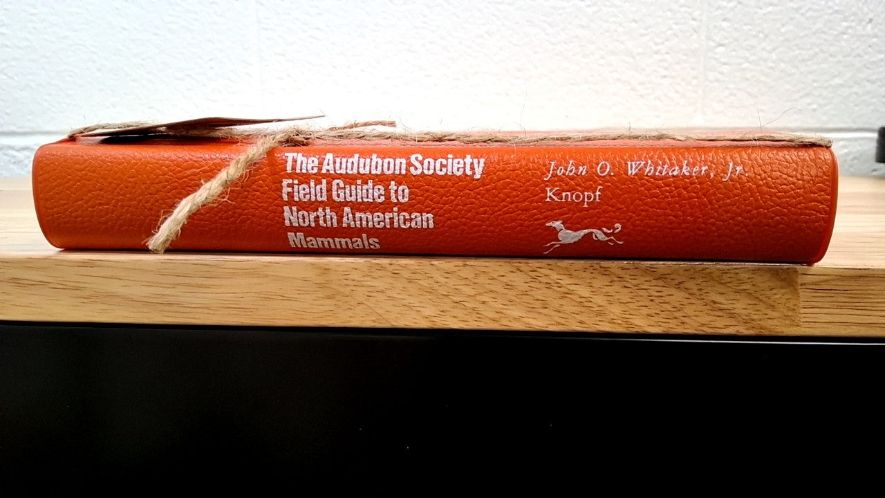 Audubon Society Field Guide to North American Mammals by Whitaker 1992