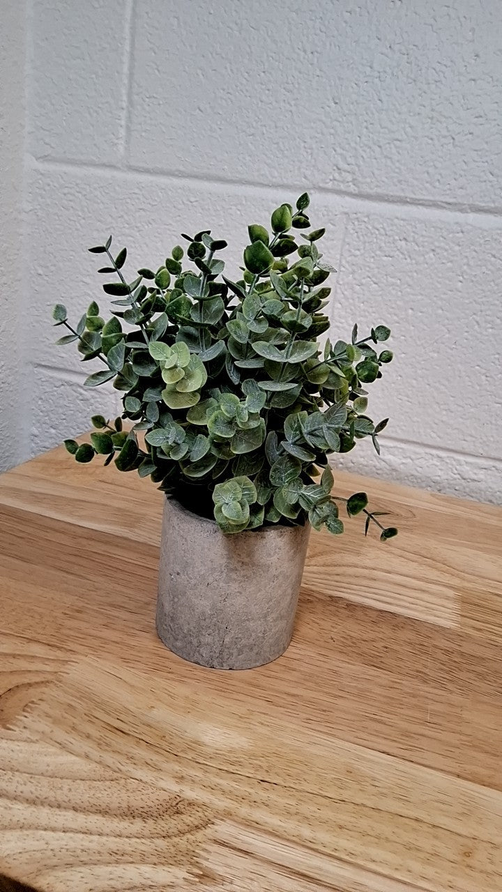 Faux Plants