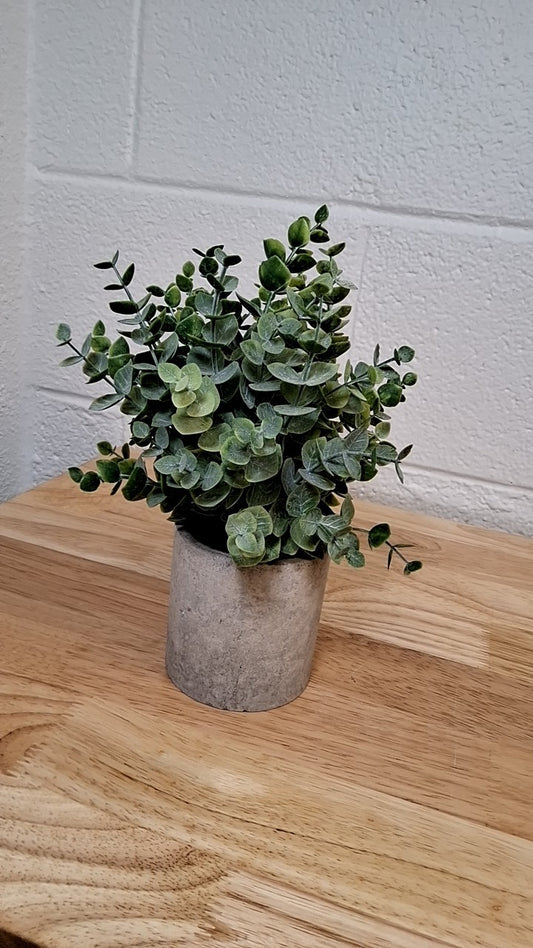 Faux Plants