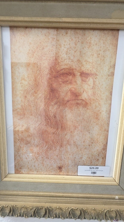 Leonardo da Vinci Self Portrait
