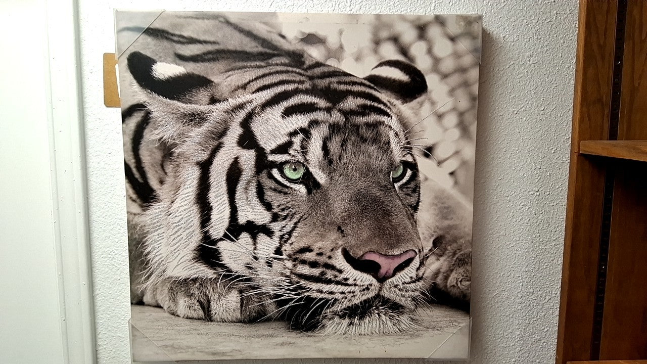 Tiger Art