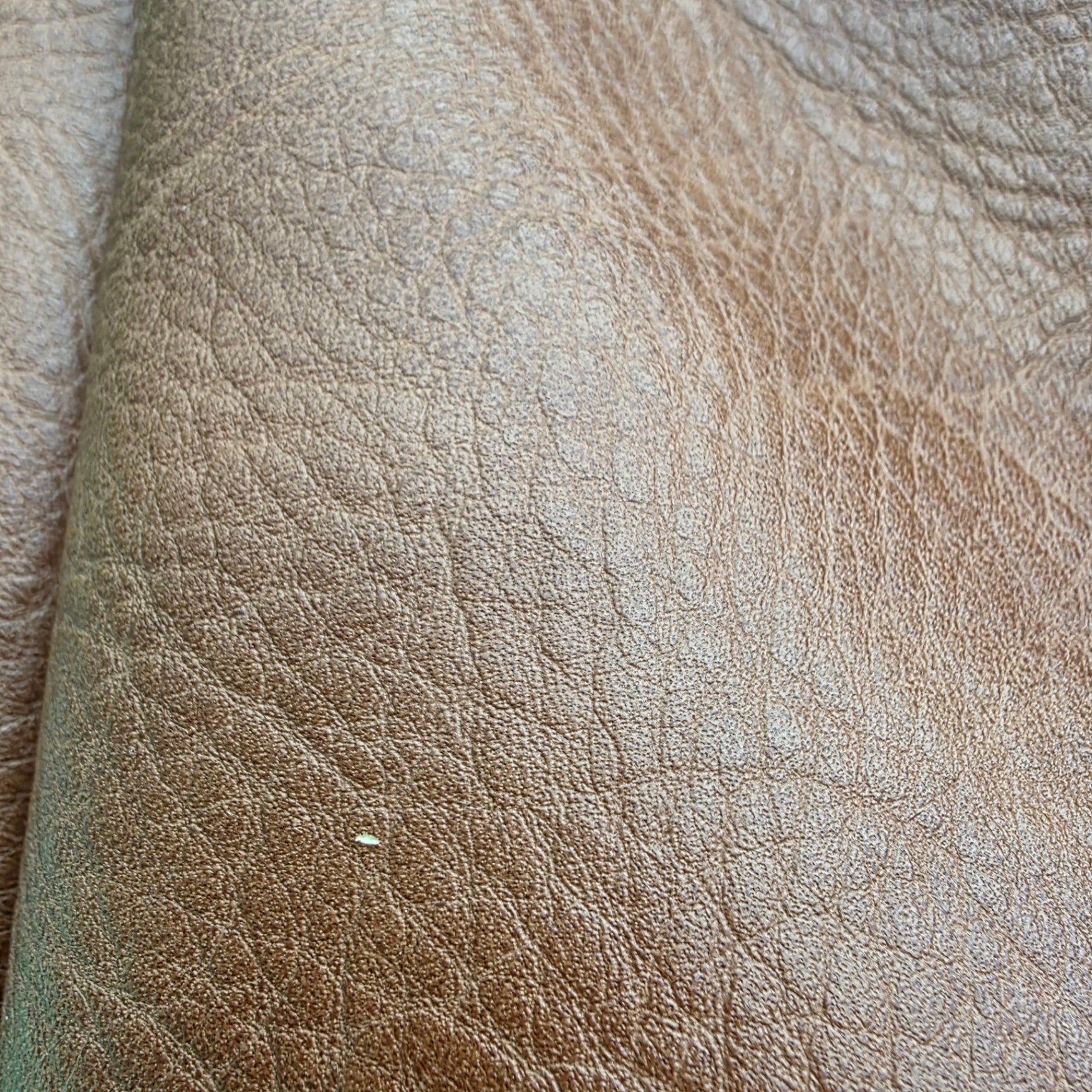 SASHA+SOFT 
