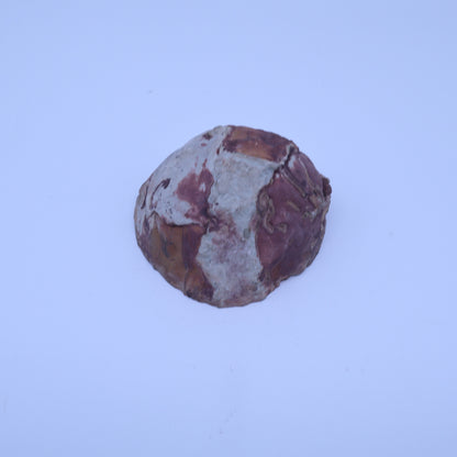 Septarian Nodule Geode Half Polished Calcite Crystal Dragon Stone Specimen