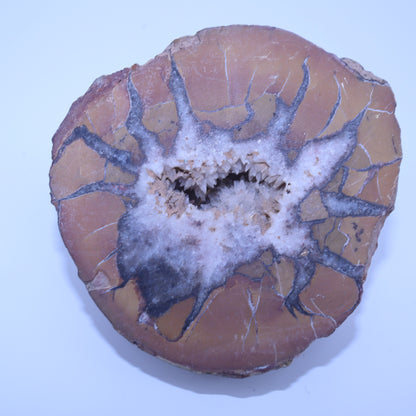 Septarian Nodule Geode Half Polished Calcite Crystal Dragon Stone Specimen