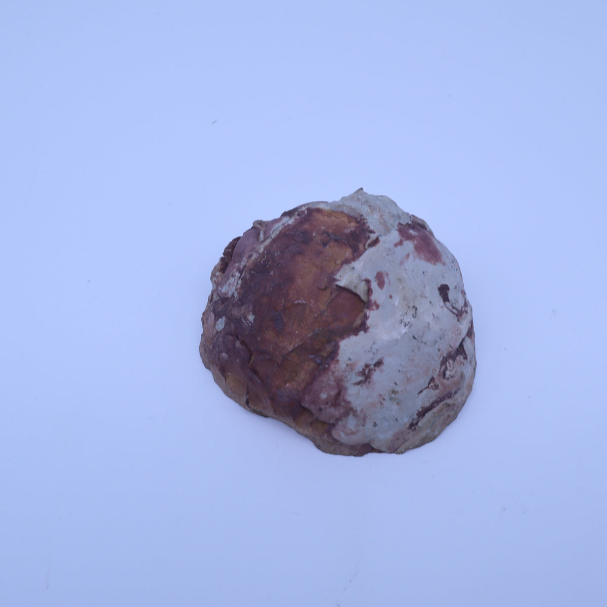 Septarian Nodule Geode Half Polished Calcite Crystal Dragon Stone Specimen