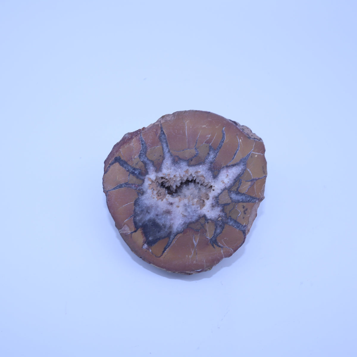 Septarian Nodule Geode Half Polished Calcite Crystal Dragon Stone Specimen