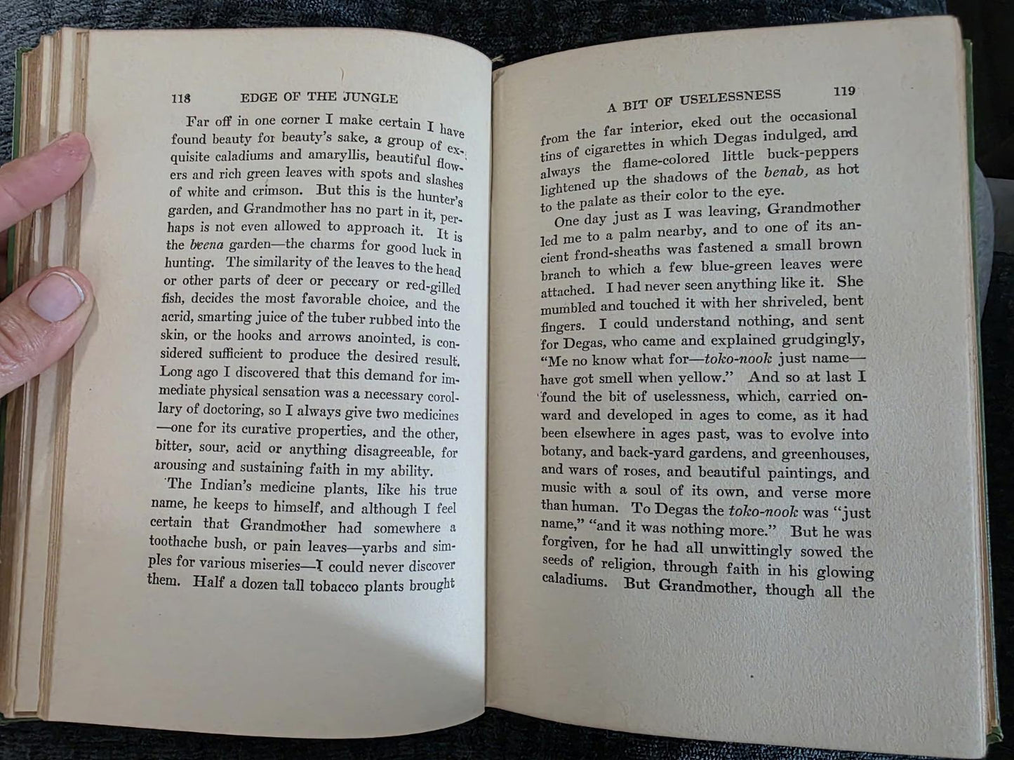 1921 Antique Exploration Story "Edge of the Jungle"