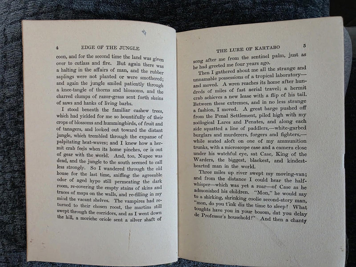 1921 Antique Exploration Story "Edge of the Jungle"