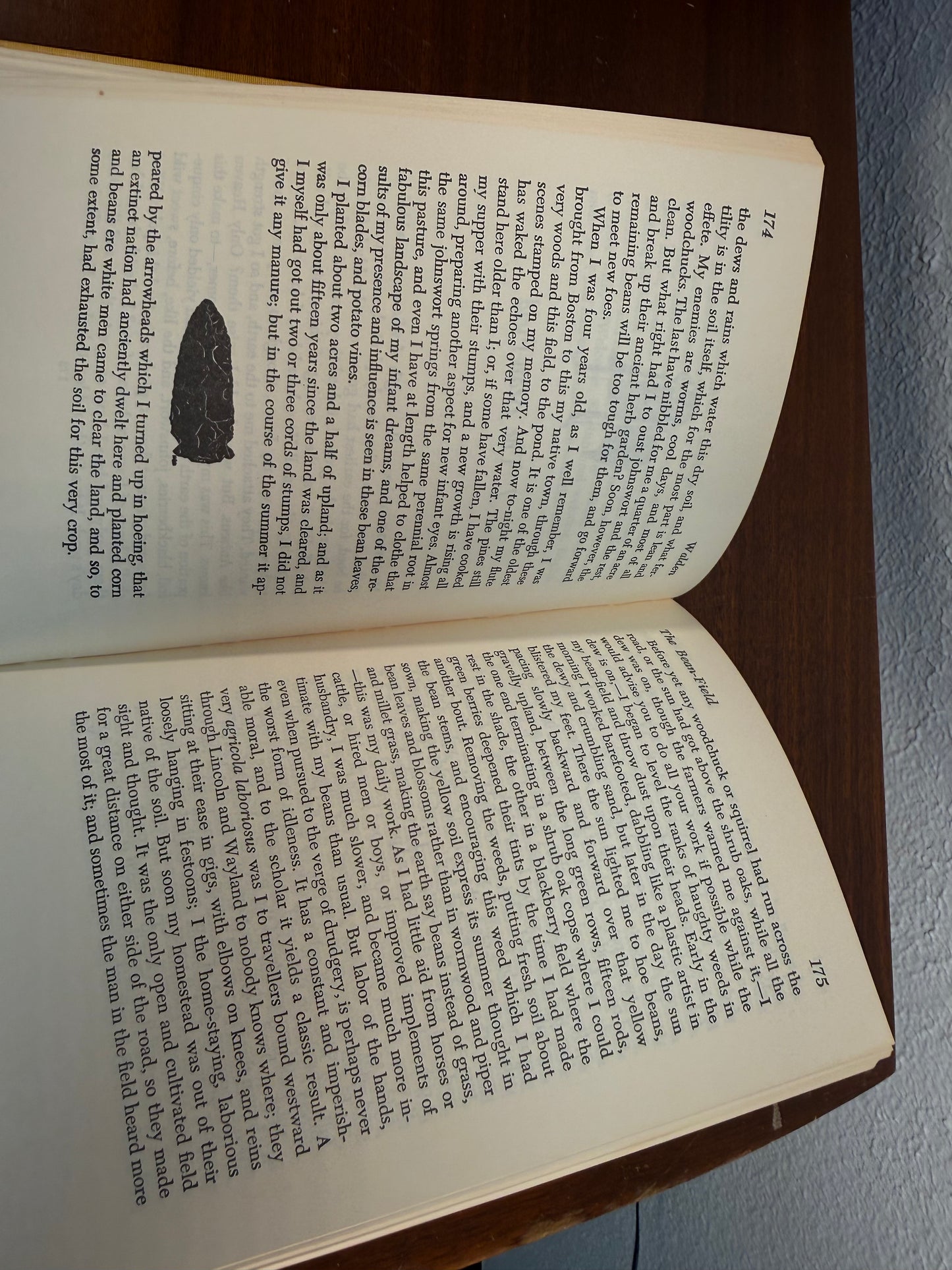 Walden By Henry David Thoreau