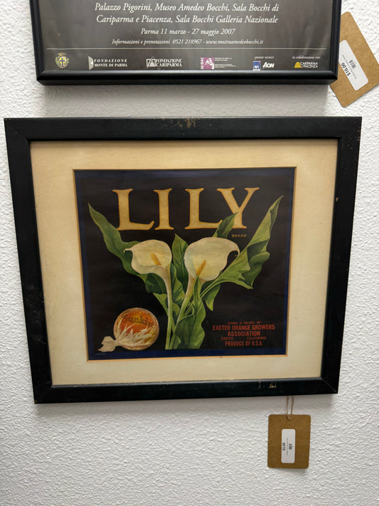 Vintage "Lily" Orange Crate